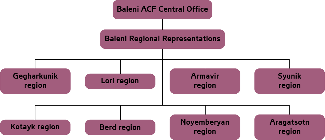 Organizational Diagram