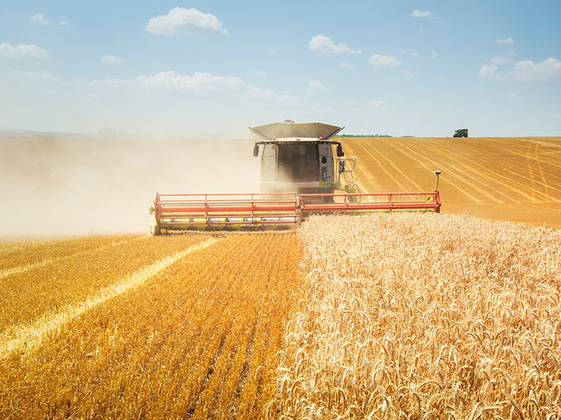 Ի՞նչ է Lorem Ipsum-ը - copy