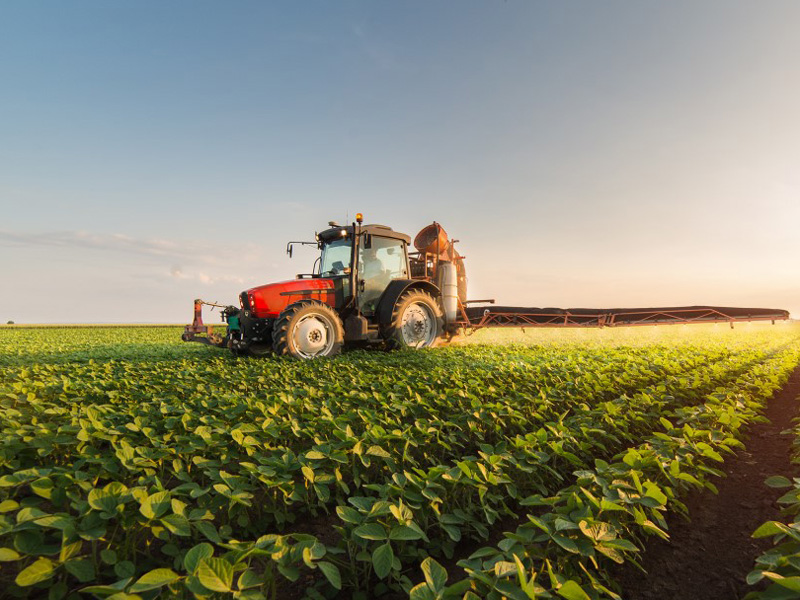 Կանանց Գյուղատնտեսական Բիզնեսի և Առաջնորդության Ցանց